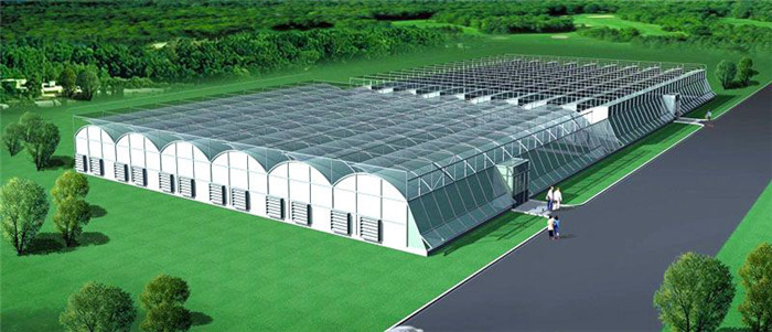 5e6ae8f2a4112.jpg 圖片8.jpg